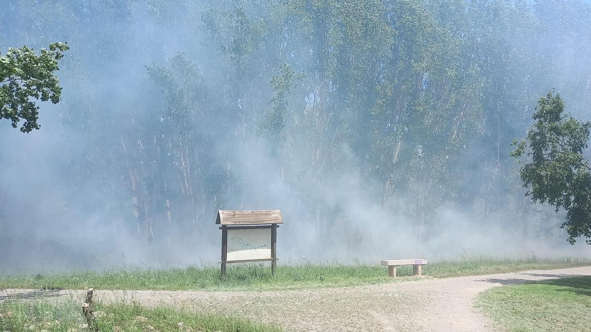 Un Incendio Ya Extinguido En El Parque Del Iregua Provoca Una Gran